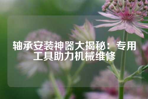 轴承安装神器大揭秘：专用工具助力机械维修