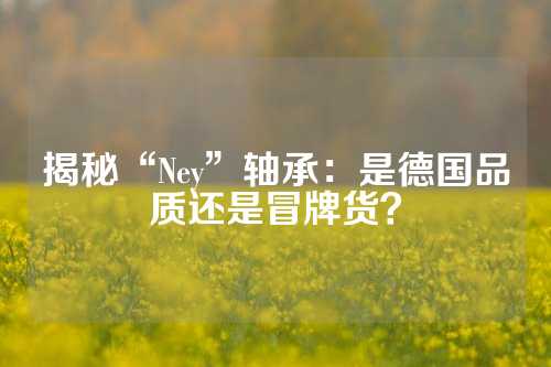 揭秘“Ney”轴承：是德国品质还是冒牌货？