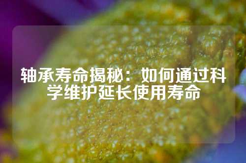 轴承寿命揭秘：如何通过科学维护延长使用寿命