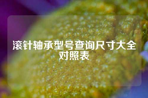 滚针轴承型号查询尺寸大全对照表