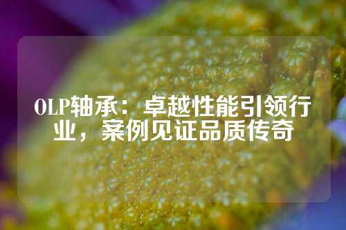 OLP轴承：卓越性能引领行业，案例见证品质传奇