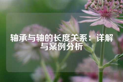 轴承与轴的长度关系：详解与案例分析