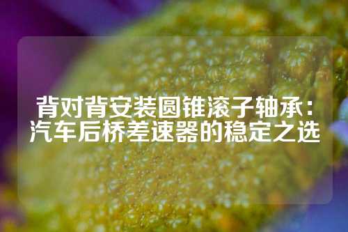 背对背安装圆锥滚子轴承：汽车后桥差速器的稳定之选