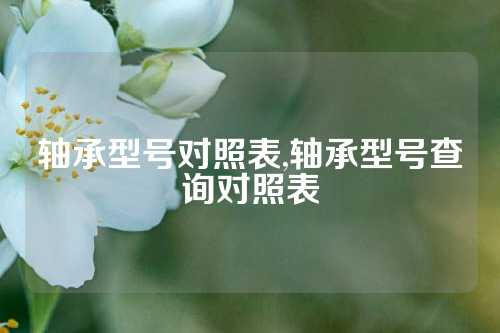 轴承型号对照表,轴承型号查询对照表