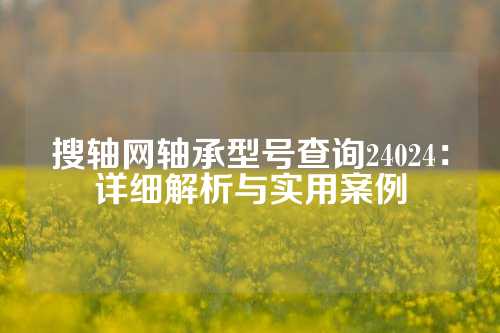 搜轴网轴承型号查询24024：详细解析与实用案例