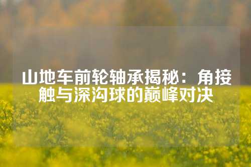 山地车前轮轴承揭秘：角接触与深沟球的巅峰对决