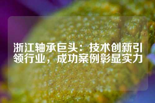 浙江轴承巨头：技术创新引领行业，成功案例彰显实力