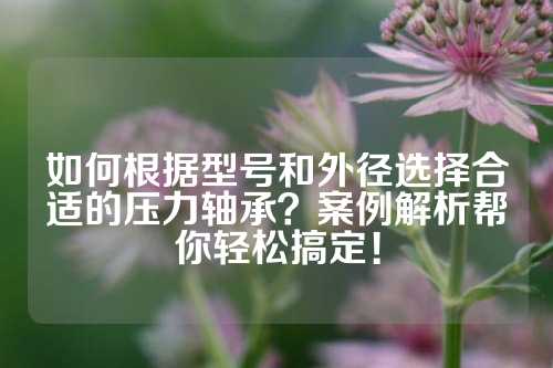 如何根据型号和外径选择合适的压力轴承？案例解析帮你轻松搞定！