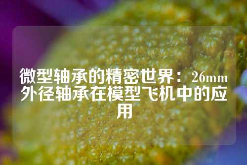 微型轴承的精密世界：26mm外径轴承在模型飞机中的应用