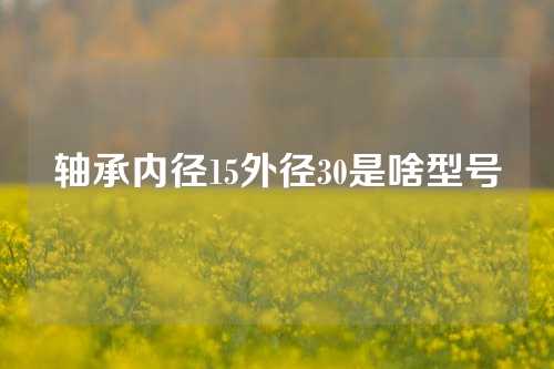 轴承内径15外径30是啥型号