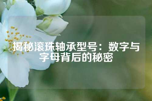 揭秘滚珠轴承型号：数字与字母背后的秘密