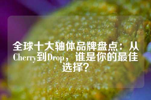 全球十大轴体品牌盘点：从Cherry到Drop，谁是你的最佳选择？