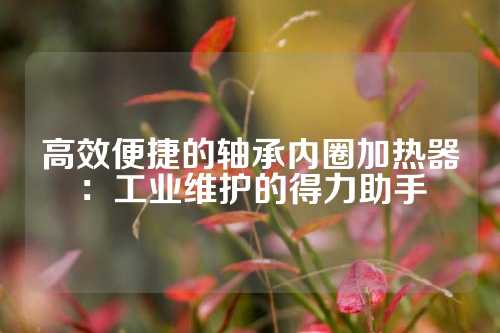 高效便捷的轴承内圈加热器：工业维护的得力助手