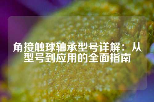 角接触球轴承型号详解：从型号到应用的全面指南