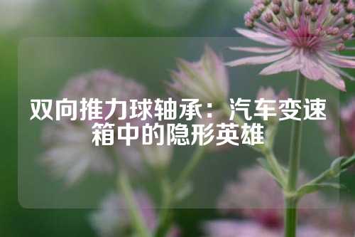 双向推力球轴承：汽车变速箱中的隐形英雄