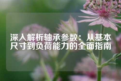 深入解析轴承参数：从基本尺寸到负荷能力的全面指南