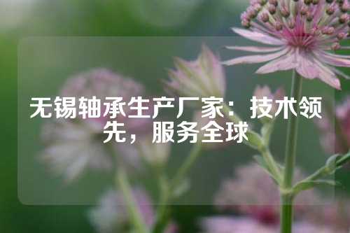 无锡轴承生产厂家：技术领先，服务全球