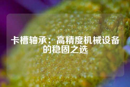 卡槽轴承：高精度机械设备的稳固之选