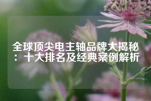 全球顶尖电主轴品牌大揭秘：十大排名及经典案例解析