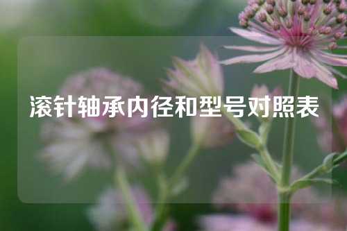 滚针轴承内径和型号对照表