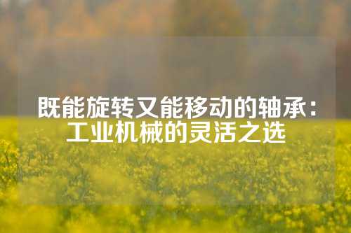 既能旋转又能移动的轴承：工业机械的灵活之选