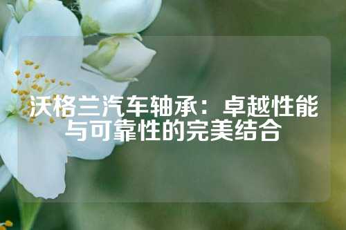 沃格兰汽车轴承：卓越性能与可靠性的完美结合