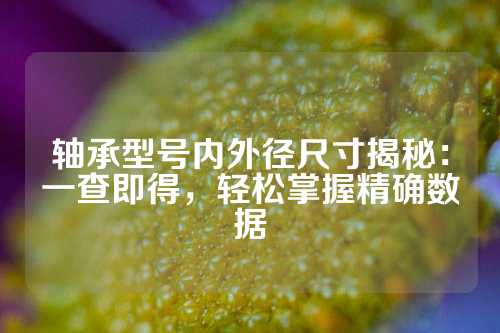 轴承型号内外径尺寸揭秘：一查即得，轻松掌握精确数据