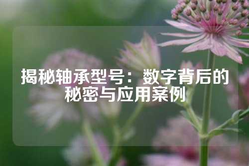 揭秘轴承型号：数字背后的秘密与应用案例