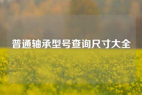 普通轴承型号查询尺寸大全