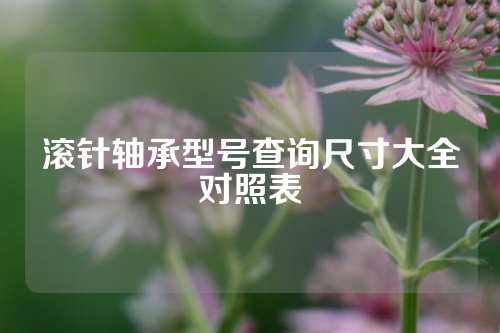 滚针轴承型号查询尺寸大全对照表