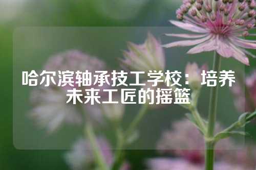 哈尔滨轴承技工学校：培养未来工匠的摇篮