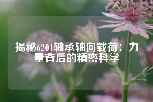 揭秘6201轴承轴向载荷：力量背后的精密科学