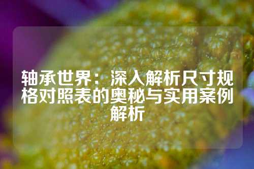 轴承世界：深入解析尺寸规格对照表的奥秘与实用案例解析