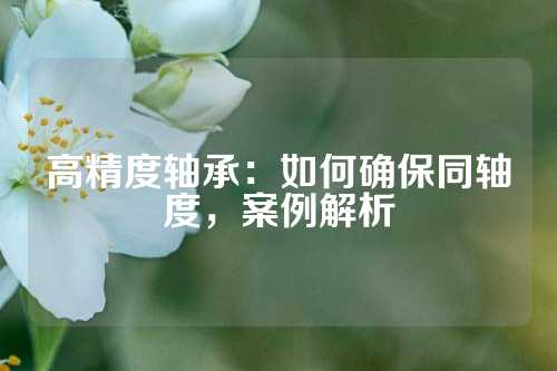 高精度轴承：如何确保同轴度，案例解析