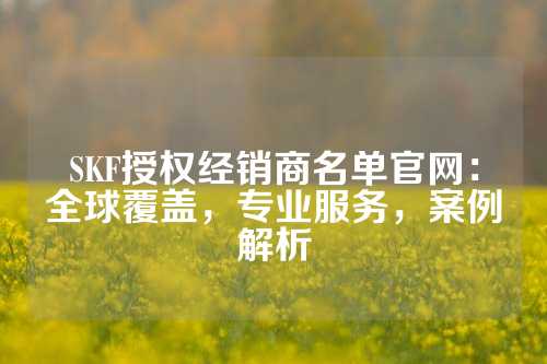 SKF授权经销商名单官网：全球覆盖，专业服务，案例解析