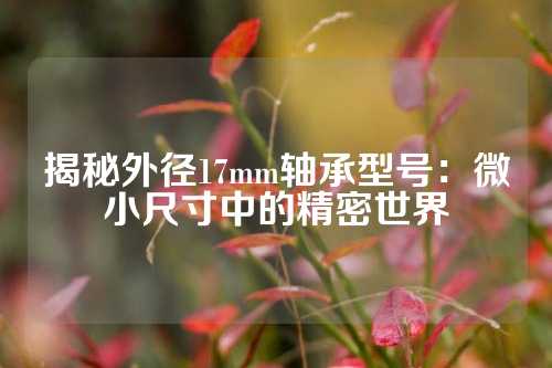 揭秘外径17mm轴承型号：微小尺寸中的精密世界