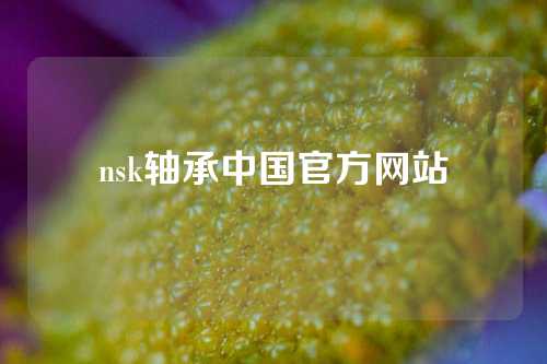 nsk轴承中国官方网站