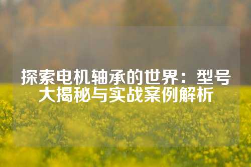 探索电机轴承的世界：型号大揭秘与实战案例解析