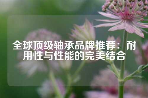 全球顶级轴承品牌推荐：耐用性与性能的完美结合