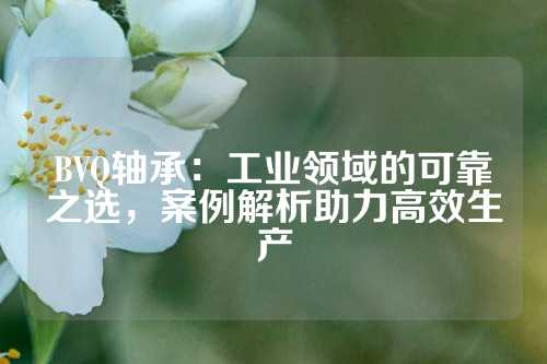 BVQ轴承：工业领域的可靠之选，案例解析助力高效生产