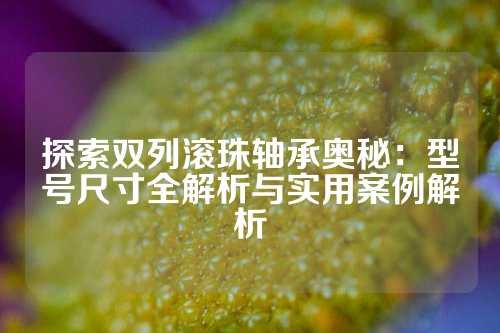 探索双列滚珠轴承奥秘：型号尺寸全解析与实用案例解析