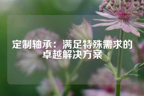 定制轴承：满足特殊需求的卓越解决方案