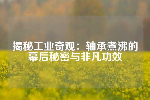 揭秘工业奇观：轴承煮沸的幕后秘密与非凡功效