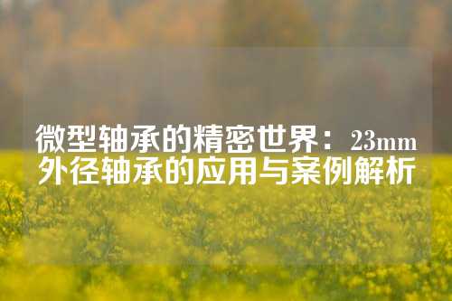 微型轴承的精密世界：23mm外径轴承的应用与案例解析