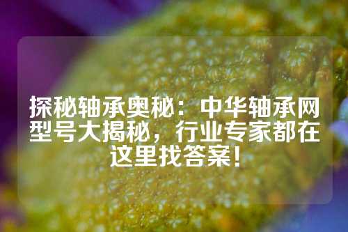 探秘轴承奥秘：中华轴承网型号大揭秘，行业专家都在这里找答案！