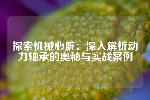 探索机械心脏：深入解析动力轴承的奥秘与实战案例