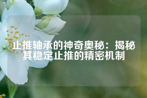 止推轴承的神奇奥秘：揭秘其稳定止推的精密机制