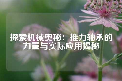 探索机械奥秘：推力轴承的力量与实际应用揭秘