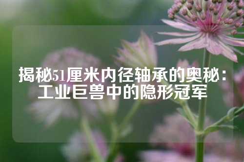 揭秘51厘米内径轴承的奥秘：工业巨兽中的隐形冠军