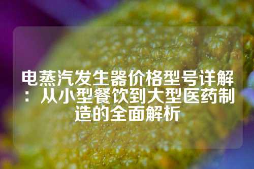 电蒸汽发生器价格型号详解：从小型餐饮到大型医药制造的全面解析